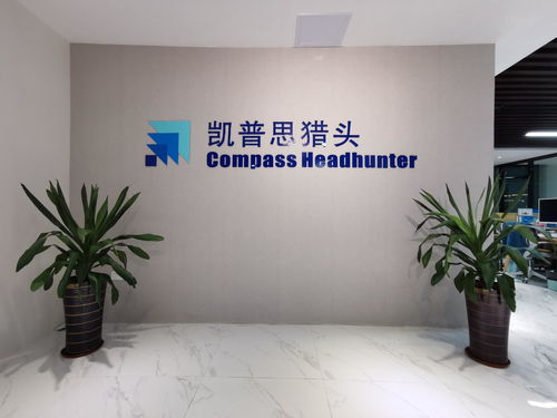 廣東凱普思企業管理咨詢 賦能企業，驅動卓越成長